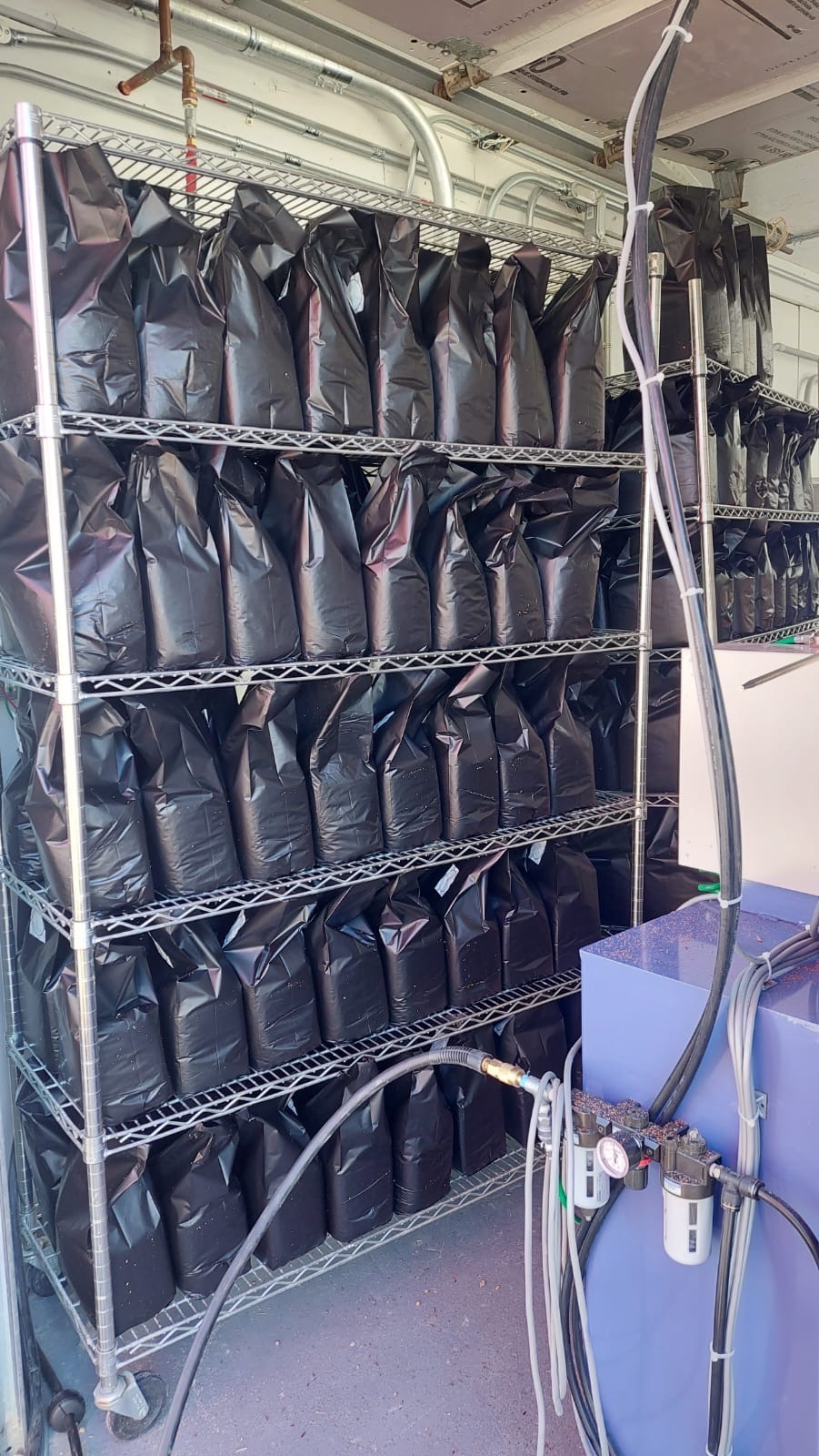 Black grow bags on wire shelving racks